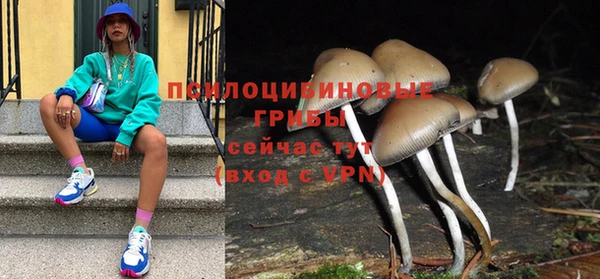 дмт Алексеевка