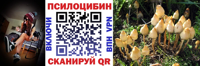 Галлюциногенные грибы прущие грибы  Бабушкин 